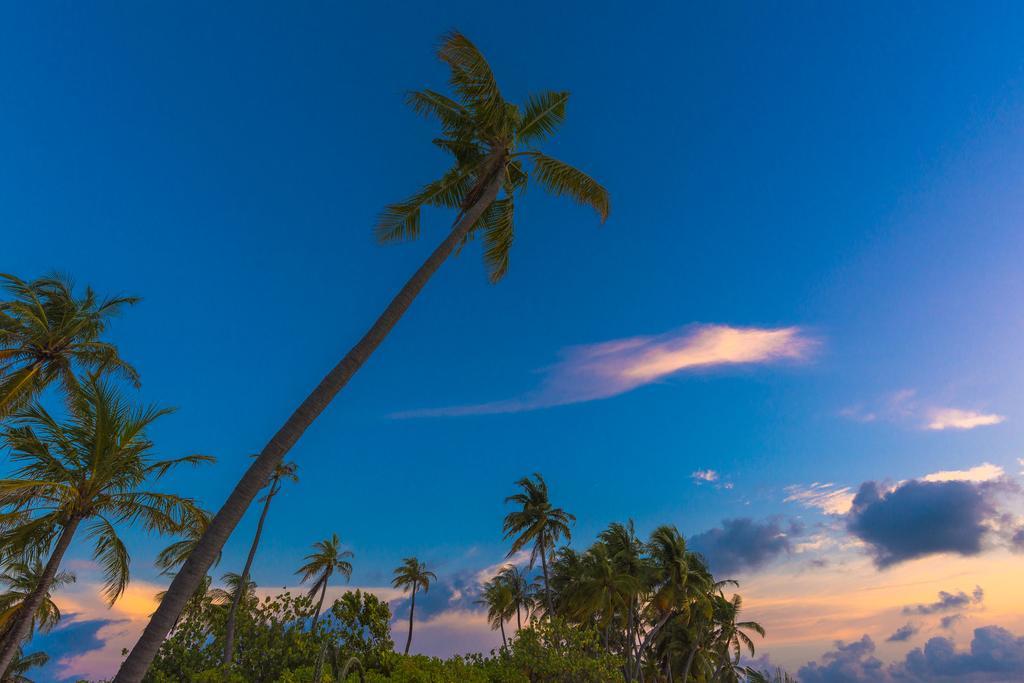 Sabba Summer Suite , Fodhdhoo - Maldives Ngoại thất bức ảnh